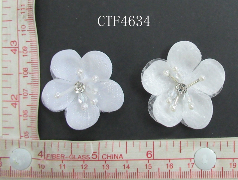 CTF4634