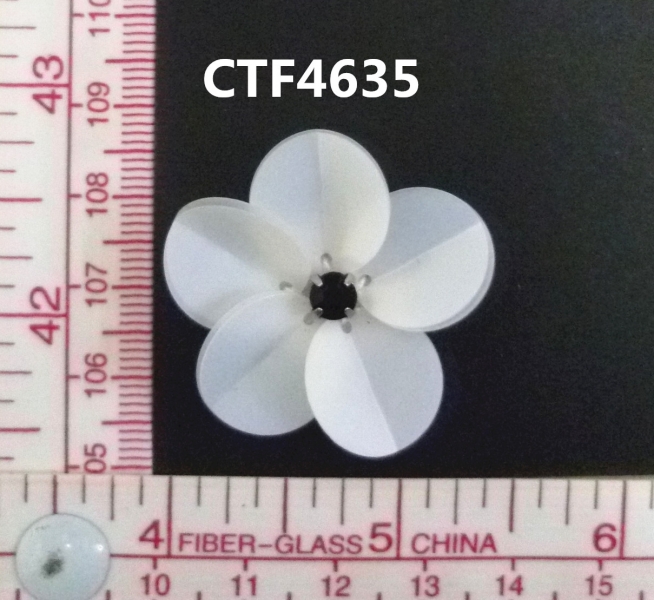 CTF4635