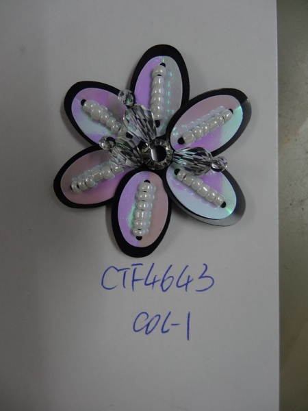 CTF4643
