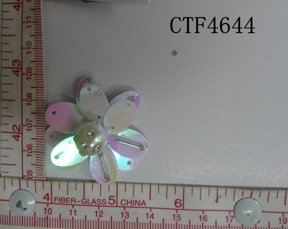 CTF4644
