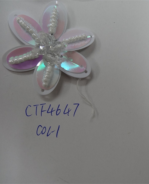 CTF4647