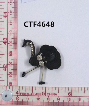 CTF4648
