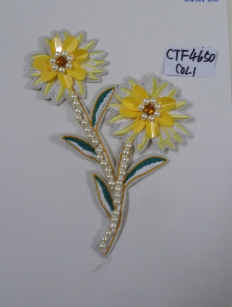 CTF4650
