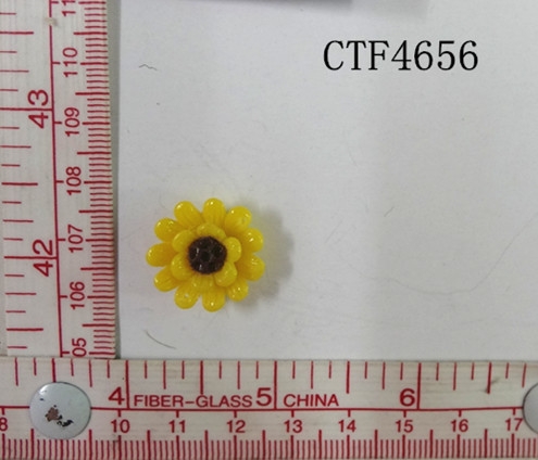 CTF4656