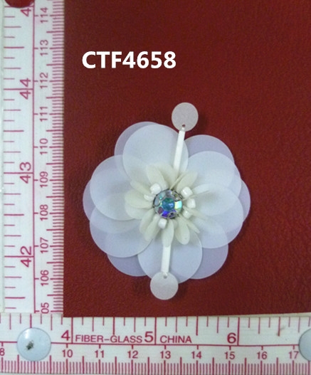 CTF4658