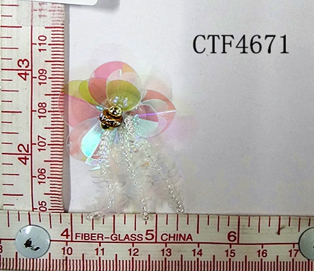 CTF4671