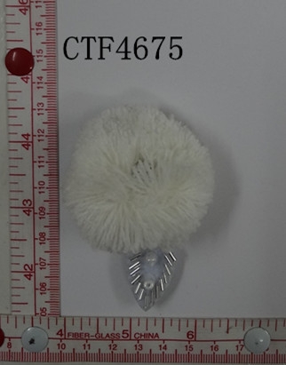 CTF4675
