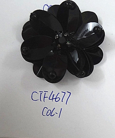 CTF4677