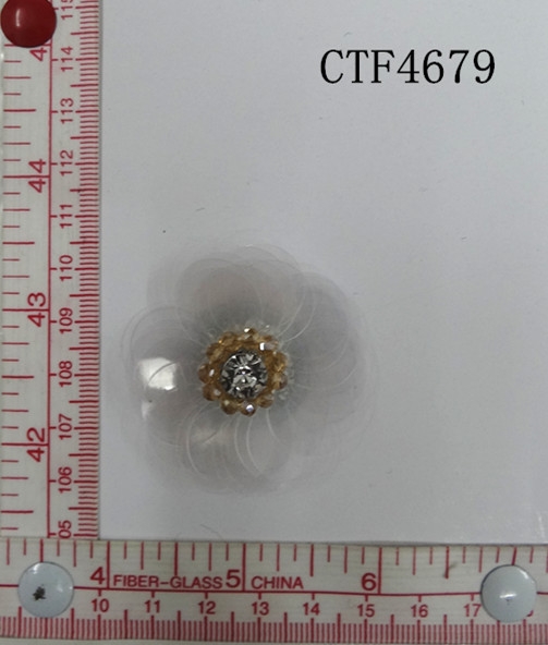 CTF4679