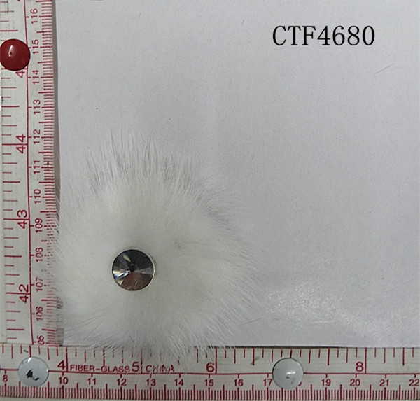 CTF4680