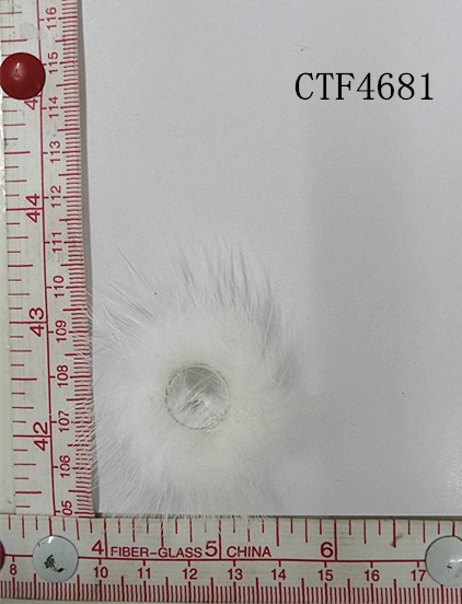 CTF4681