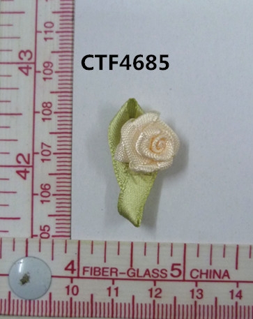 CTF4685