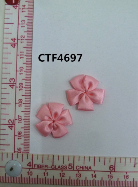 CTF4697