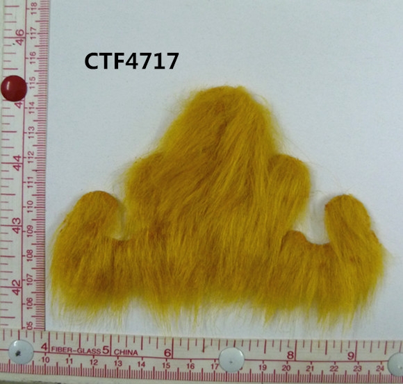 CTF4717