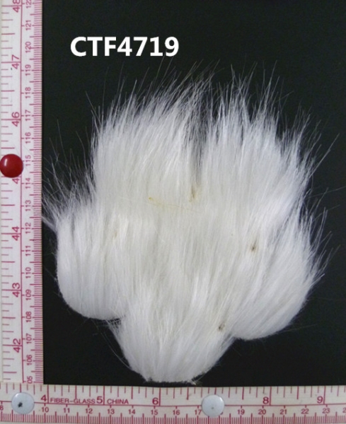 CTF4719
