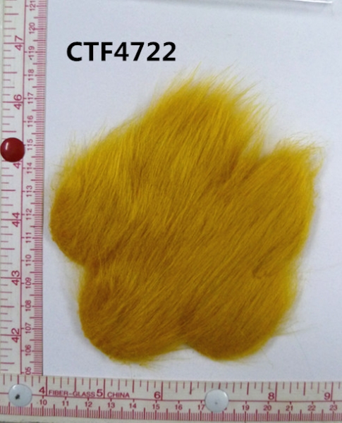 CTF4722