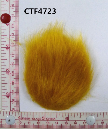CTF4723