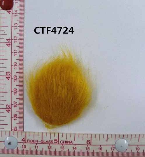 CTF4724