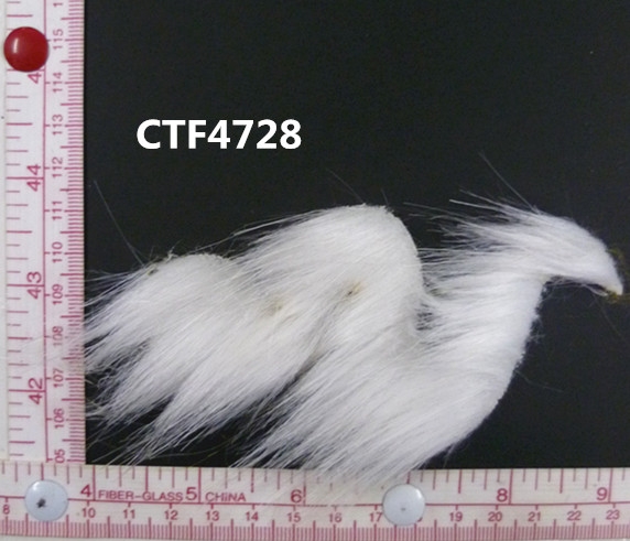 CTF4728