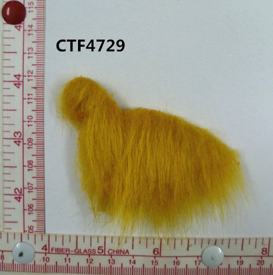 CTF4729