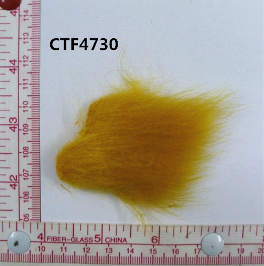 CTF4730