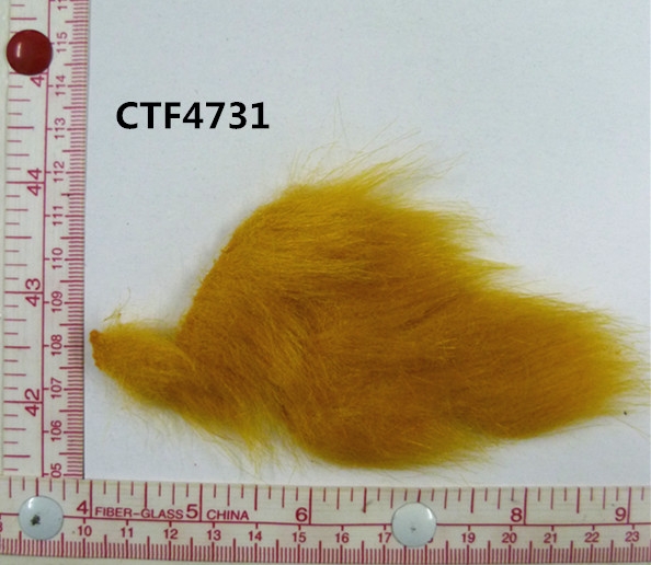 CTF4731