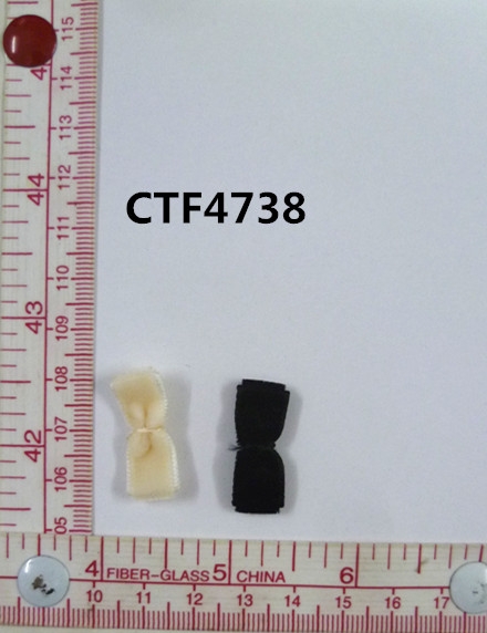 CTF4738