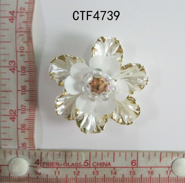 CTF4739