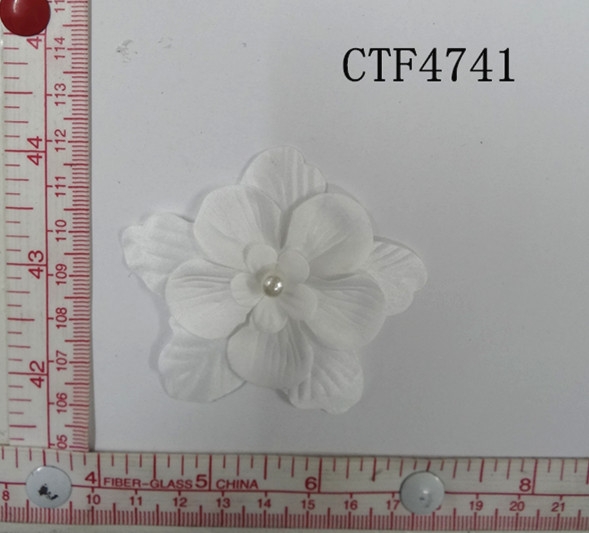 CTF4741