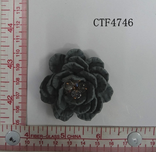 CTF4746