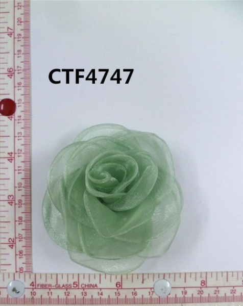 CTF4747
