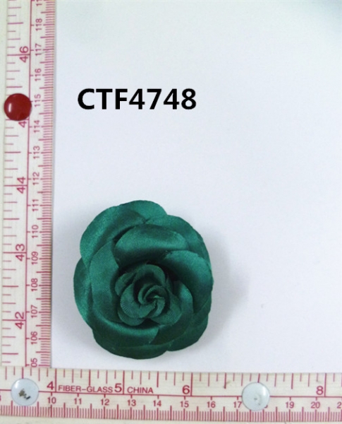 CTF4748