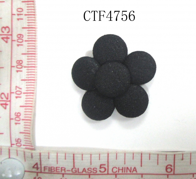 CTF4756