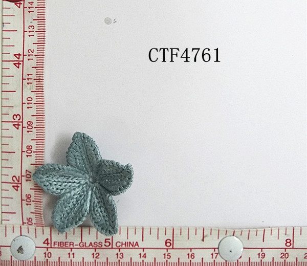 CTF4761