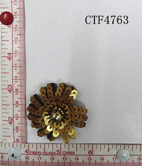 CTF4763