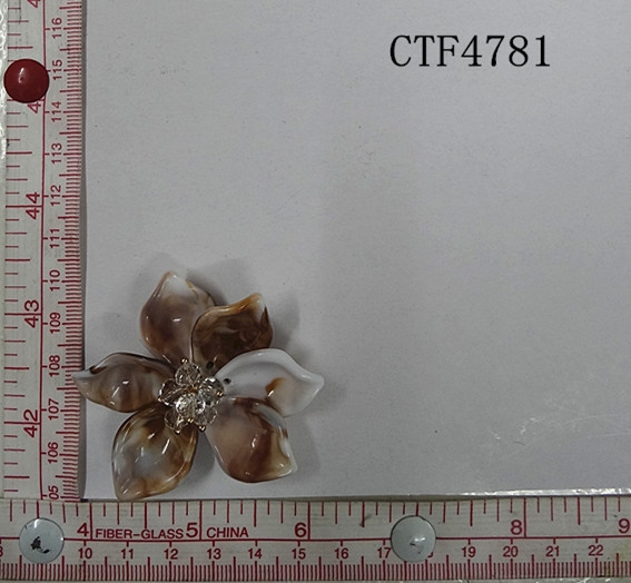 CTF4781