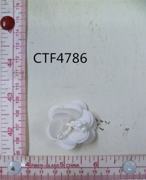 CTF4786