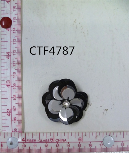 CTF4787