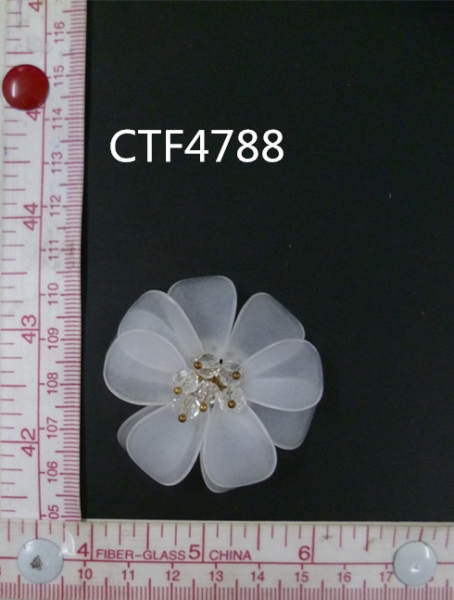CTF4788