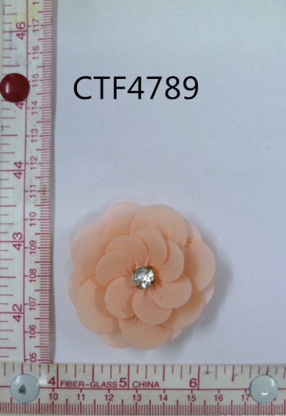 CTF4789