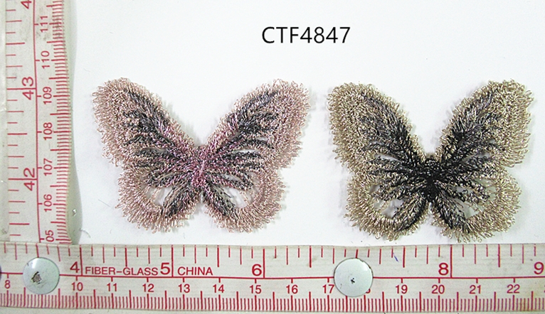 CTF4847