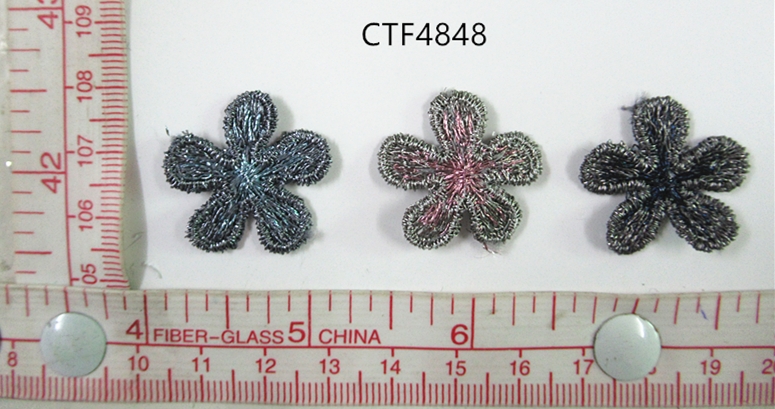 CTF4848