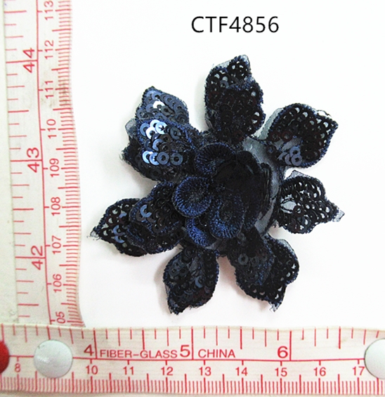 CTF4856