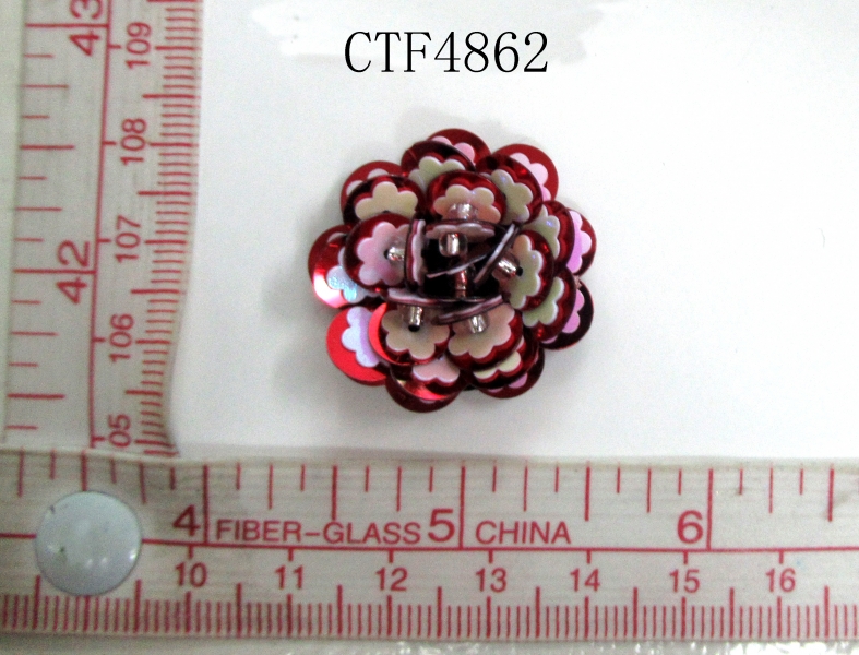 CTF4862