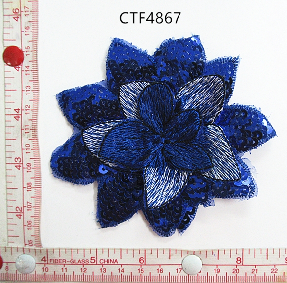 CTF4867