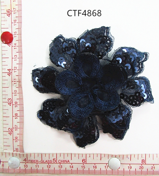 CTF4868