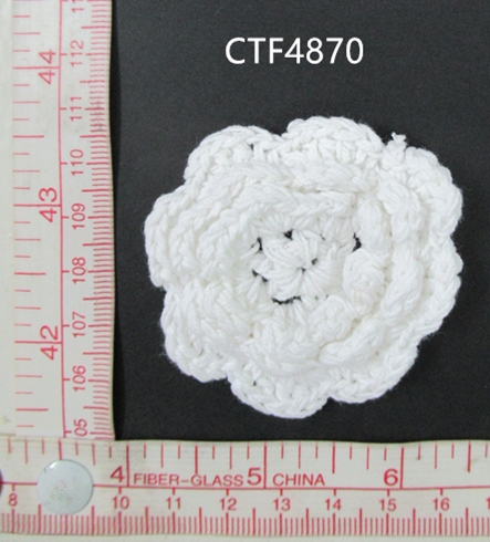 CTF4870