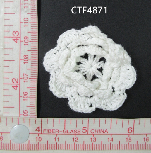CTF4871