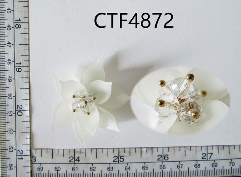 CTF4872