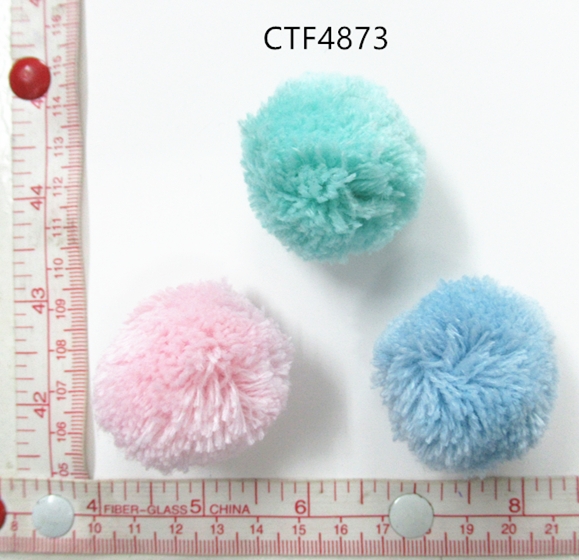 CTF4873